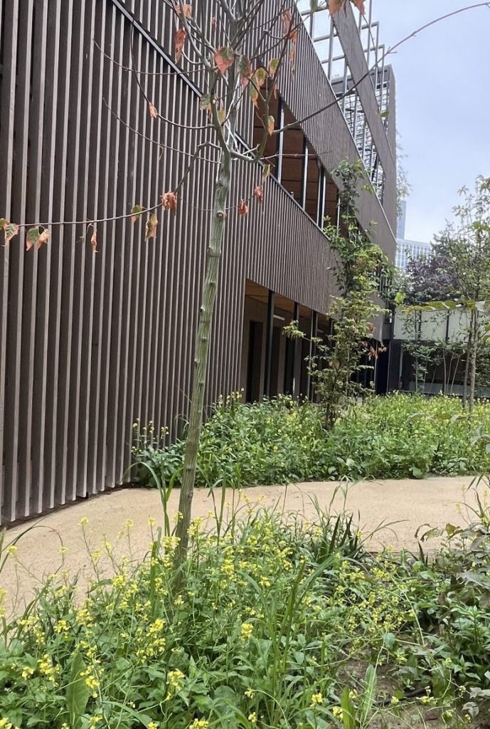 Chantier École du Cotentin